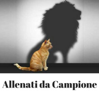 Allenati come se fossi in Gara