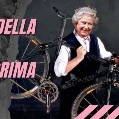 Hormonal Release System© Show