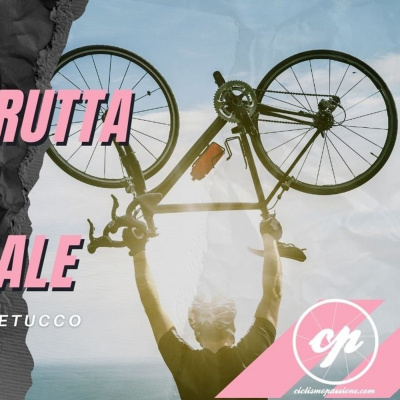 Hormonal Release System© Show