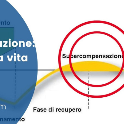 Hormonal Release System© Show