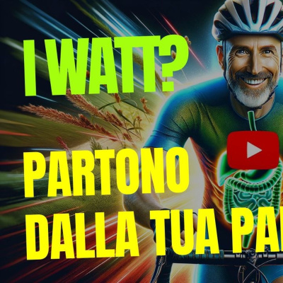 Hormonal Release System© Show