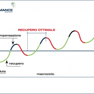 Hormonal Release System© Show