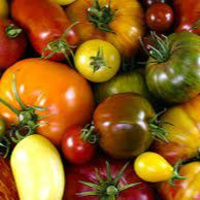 Richard Hebert - February 29, 2024