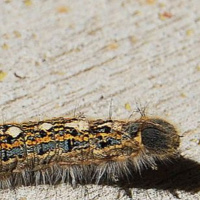 Richard Hebert - May 9, 2024