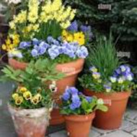 Richard Hebert - October 9, 2025