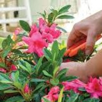 Richard Hebert - July 11, 2024