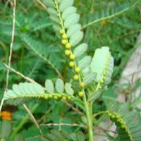 Richard Hebert - July 26, 2024