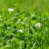 Richard Hebert - June 26, 2025