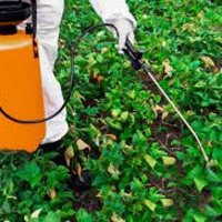 Richard Hebert - August 1, 2024