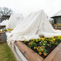 Richard Hebert - January 11, 2024