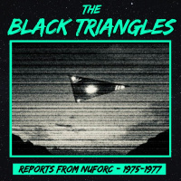 The Black Triangles: NUFORC Reports 