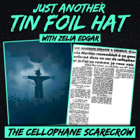Just Another Tin Foil Hat | The Cellophane Scarecrow