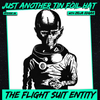 Just Another Tin-Foil Hat | The Flight Suit Entity 