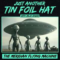 Just Another Tin Foil Hat | The Meridian Flying Machine
