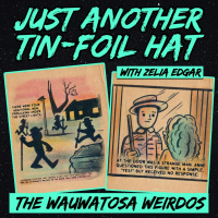 Just Another Tin Foil Hat | The Wauwatosa Weirdos