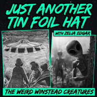 Just Another Tin-Foil Hat | The Weird Winsted Creatures