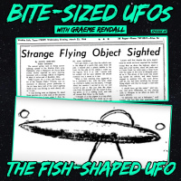 Bite-Sized UFOs | The Fish-Shaped UFO