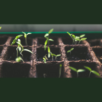 Male Ally Groups Push to Grow the Movement