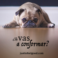 ¿Te vas a conformar?