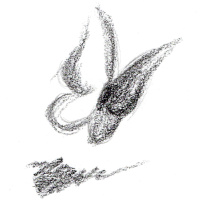 Hoy puedes sonreirle a todo el mundo