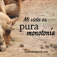 Mi vida es pura monotonía