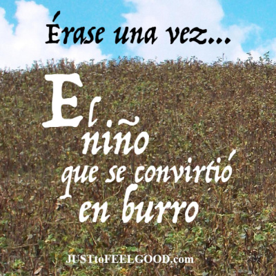 Reflexiones Para Sentirse Bien, De Estany Loriente