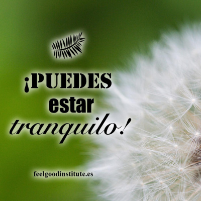 Reflexiones Para Sentirse Bien, De Estany Loriente