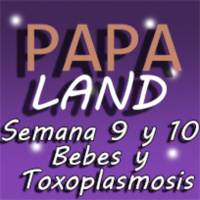 Semana 9 y 10, Bebés y Toxoplasmosis