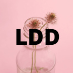 Dmuchawce Latawce Design