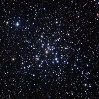 3/24/25 - The Little Beehive