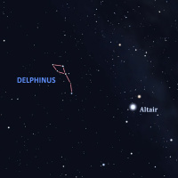 9/12/22 - Delphinus the Dolphin