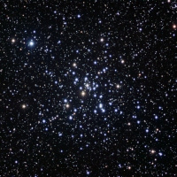 3/4/19 - The Little Beehive