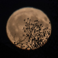 1/25/21 - January Full Moon Names