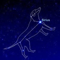 2/14/22 - The Dog Star