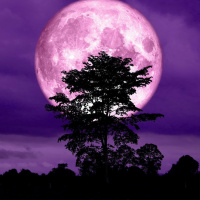 4/6/20 - The Pink Super Moon
