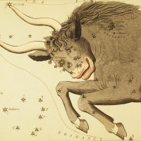 12/27/21 - The Face of Taurus