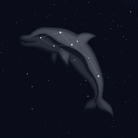 9/18/23 - Delphinus the Dolphin