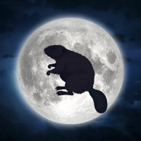 11/19/18 - The Beaver Moon