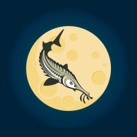 8/12/24 - The Super Sturgeon Moon