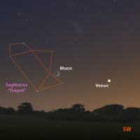 11/4/24 - Venus, Mercury, and the Moon