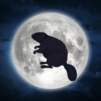 11/23/20 - The Beaver Moon