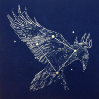 5/6/24 - Corvus the Crow