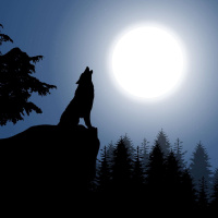 1/6/25 - The Wolf Moon Eats Mars