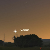 8/23/21 - Venus and Arcturus