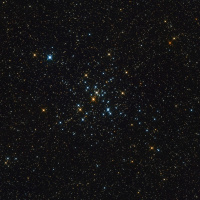 3/9/20 - The Little Beehive