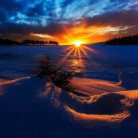 12/20/21 - Birthday of the Sun