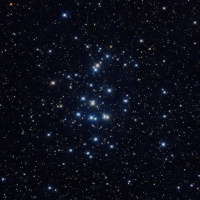 3/20/23 - The Crab and the Beehive