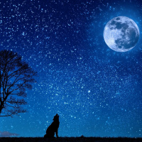 1/6/20 - The Wolf Moon