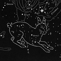 2/28/22 - Lepus the Hare