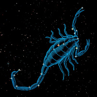 8/11/25 - Scorpius the Scorpion
